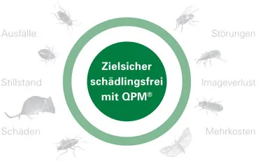 Ganzheitliche Betrachtung