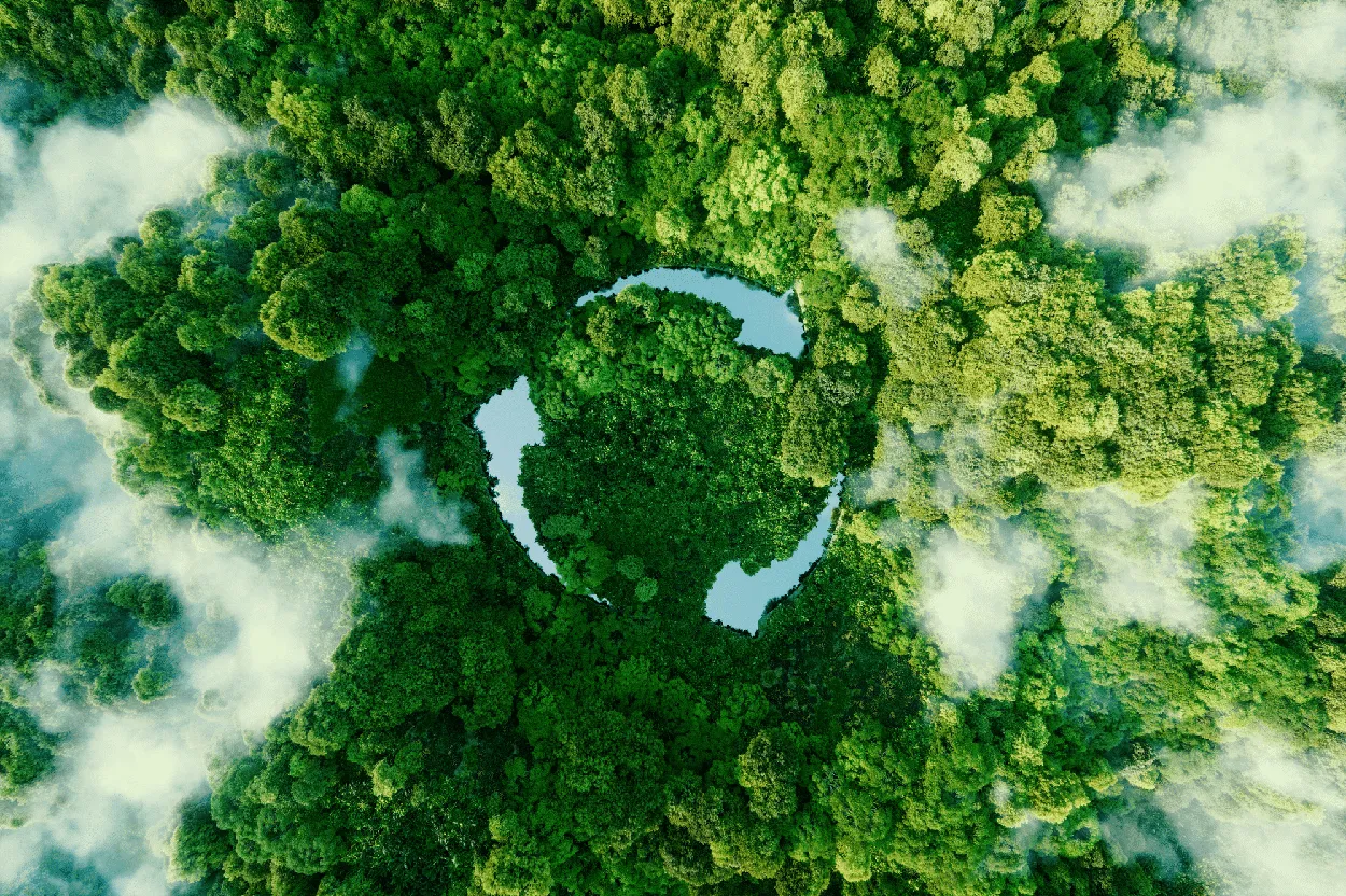 Gesa - für Natur und Umwelt 