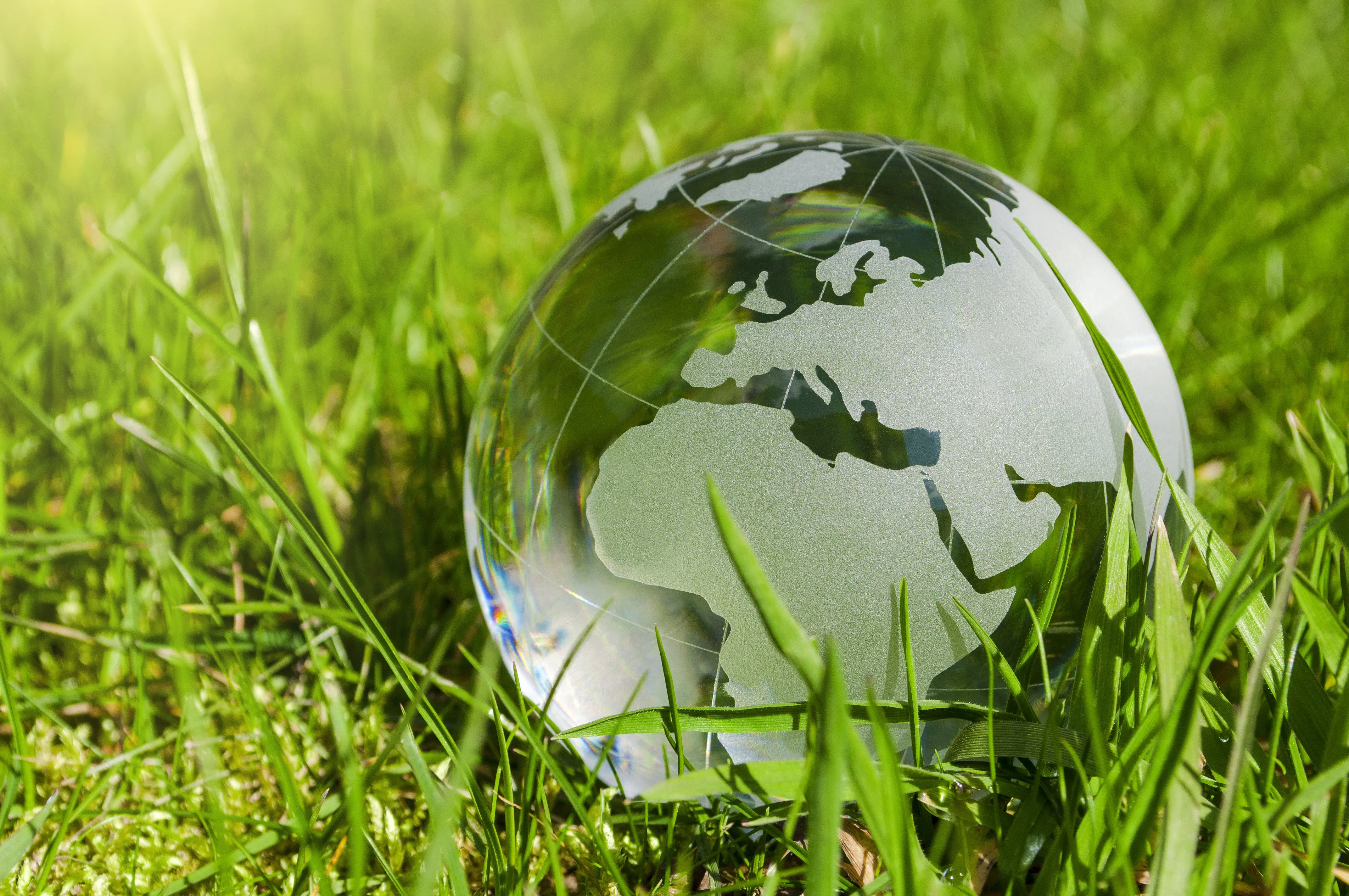 Gemeinsam für die Umwelt