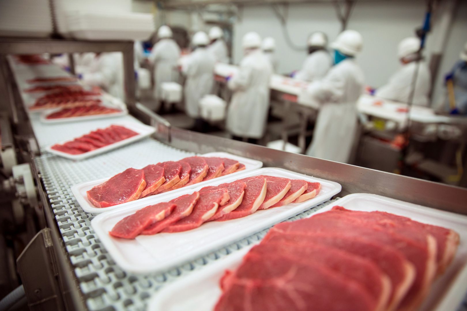 Food hygiene - Food Processing