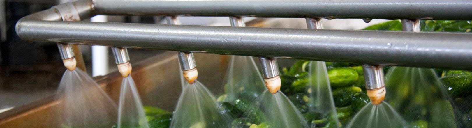 Hygiene & Qualitätsmanagement in der Lebensmittelverarbeitung