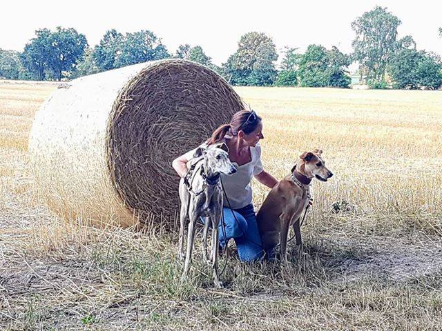 Social Engagement - Animal welfare